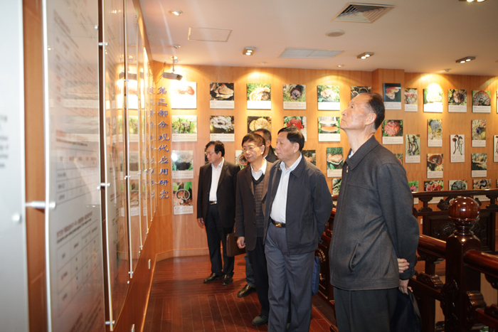 專(zhuān)題報(bào)道