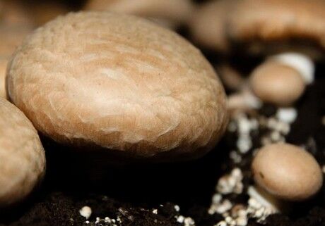 圖片關(guān)鍵詞