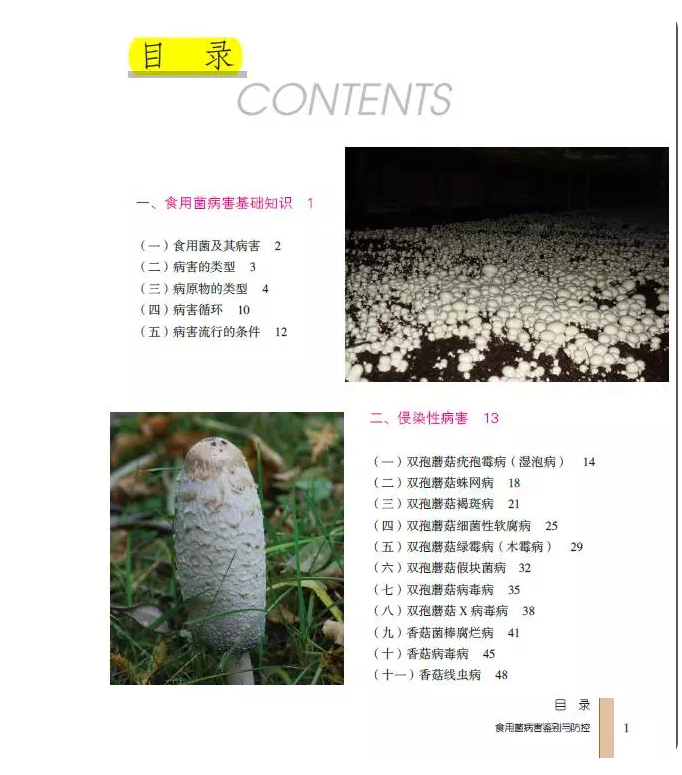 圖片關鍵詞 圖片關鍵詞