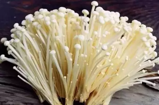 圖片關(guān)鍵詞 圖片關(guān)鍵詞