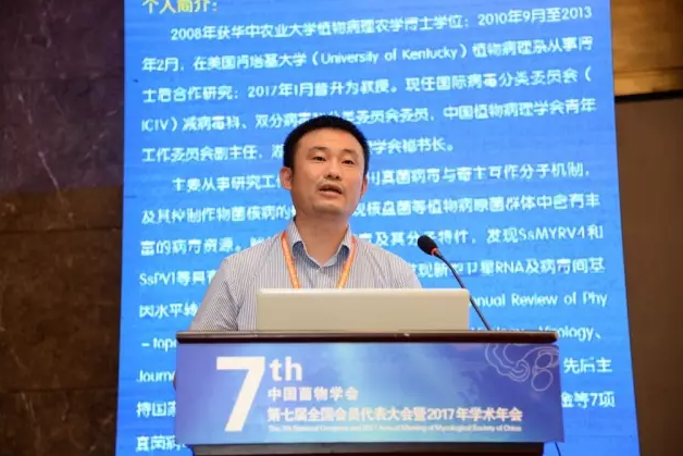 圖片關鍵詞 圖片關鍵詞