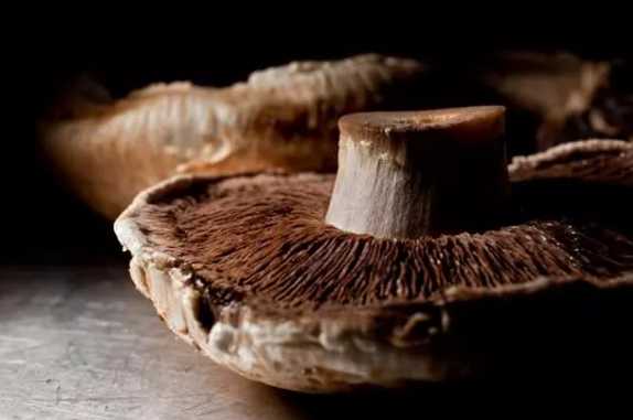 圖片關鍵詞 圖片關鍵詞