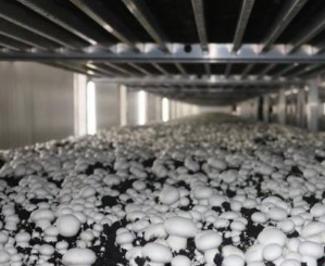 圖片關鍵詞 圖片關鍵詞