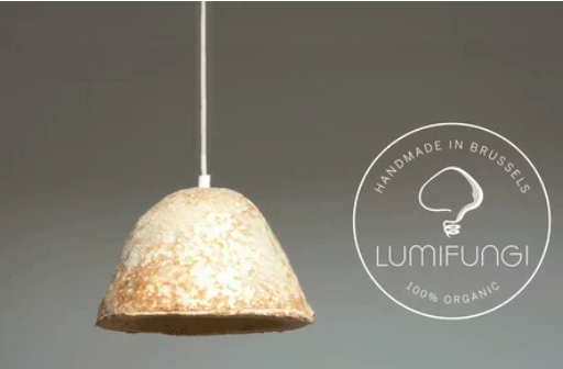 圖片關鍵詞 http://m.lyzxgybc.cn/ewebeditor/uploadfile/20180727085601461001.png