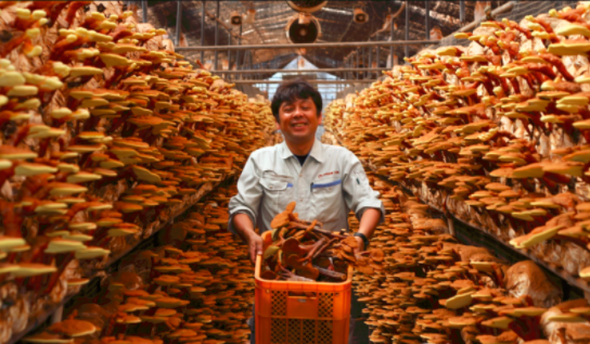 圖片關鍵詞 圖片關鍵詞