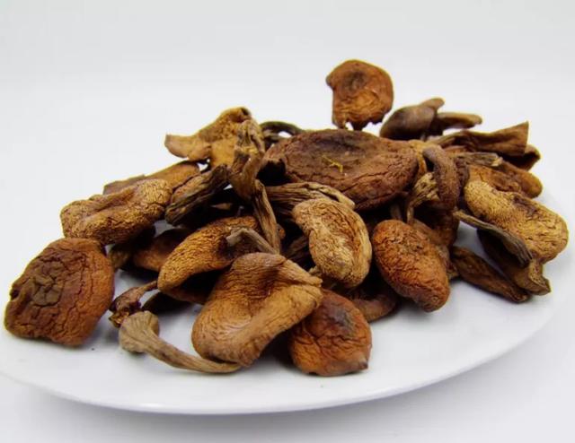 國家蘑菇地理：中國哪里的蘑菇最好吃？