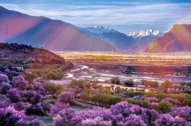 國家蘑菇地理：中國哪里的蘑菇最好吃？