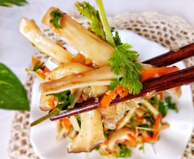 國家蘑菇地理：中國哪里的蘑菇最好吃？