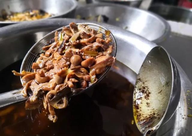 國家蘑菇地理：中國哪里的蘑菇最好吃？