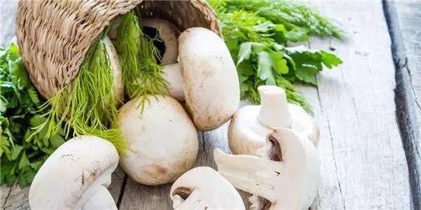 圖片關鍵詞 https://mmbiz.qpic.cn/mmbiz_jpg/EzTg6Bqtpm0WKZfQibicEjcQDNRWNq3jm7wrcdH7BWCl4Ax9mOtVfCpG30Wfibziaq64Y5md54WeEbtSQu6WFP9EFA/640?wx_fmt=jpeg