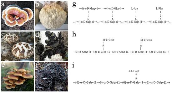 圖片關鍵詞 https://mmbiz.qpic.cn/mmbiz_jpg/OnRbAd1HL44da8qpWCnn2RmJEB4eNMYmMFnSKrIGdEib6Qq9lw58pwQCwiajSYbf5w2cPIu5r2MYMYuiatq2cc3PQ/640?wx_fmt=jpeg