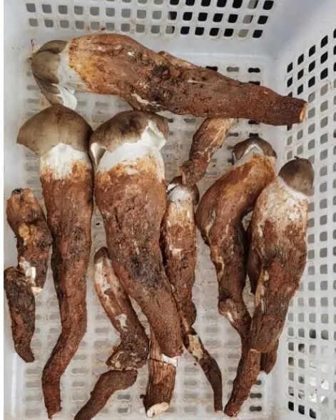 圖片關(guān)鍵詞 圖片