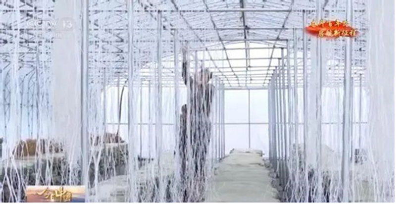 圖片關鍵詞 圖片關鍵詞