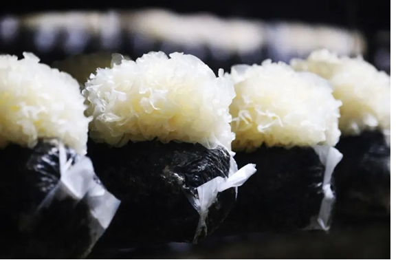 圖片關(guān)鍵詞 圖片關(guān)鍵詞