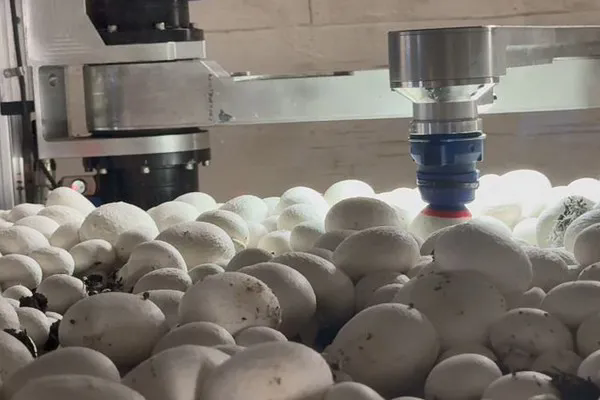 圖片關鍵詞 圖片關鍵詞