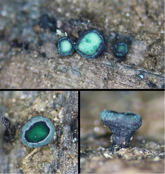 圖片關鍵詞 圖片關鍵詞