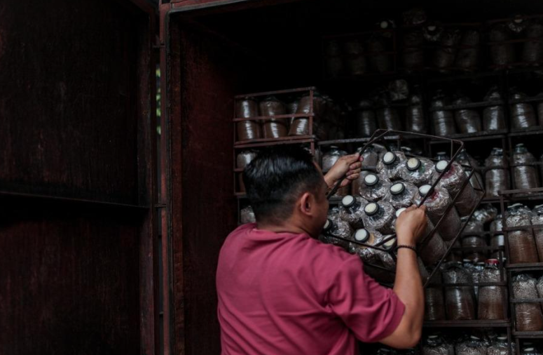 圖片關鍵詞 圖片關鍵詞