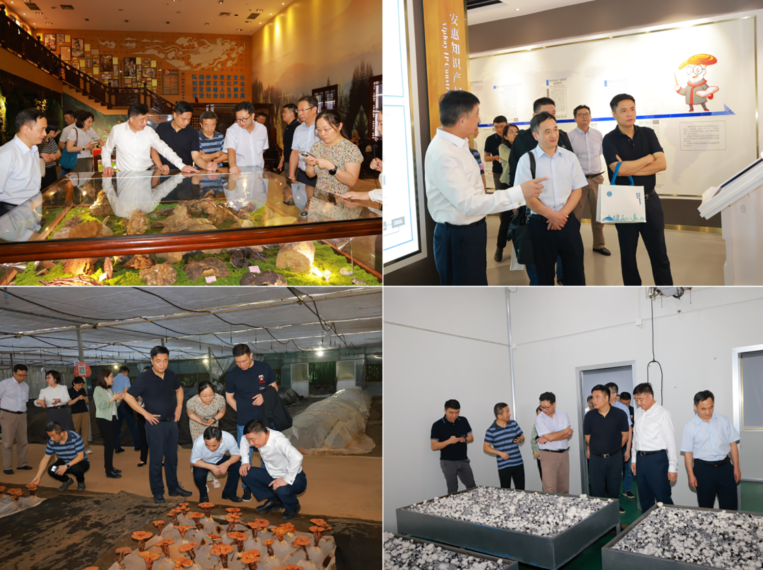 圖片關鍵詞