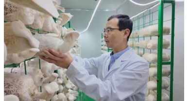 行業(yè)動態(tài)