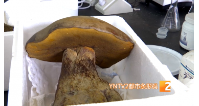 行業(yè)動(dòng)態(tài)
