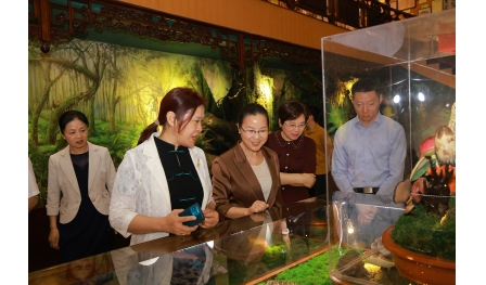 全國(guó)婦聯(lián)婦女發(fā)展部副部長(zhǎng)奉朝暉在安惠調(diào)研
